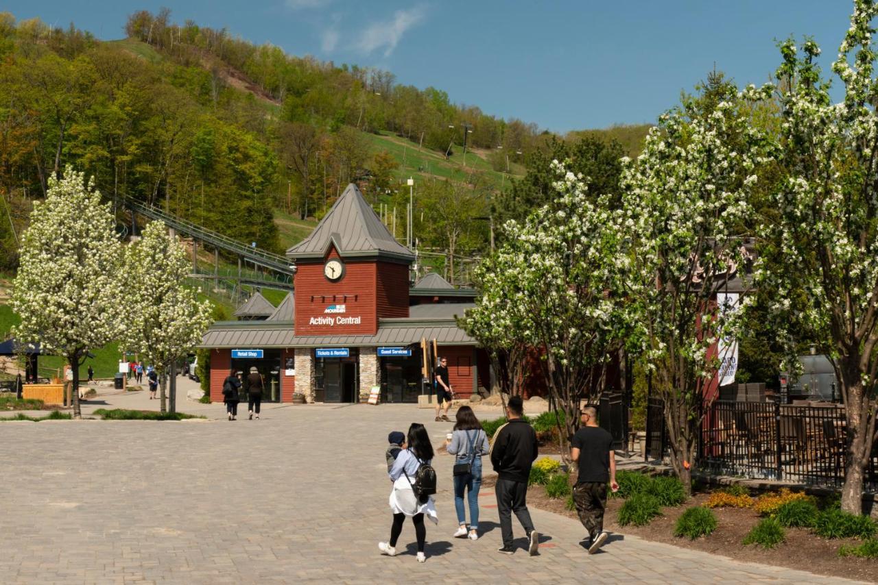 Blue Mountain Resort Home Collection The The Blue Mountains Exterior foto